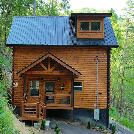 Hawks Nest Mountain Cabin 세비어빌 외부 사진