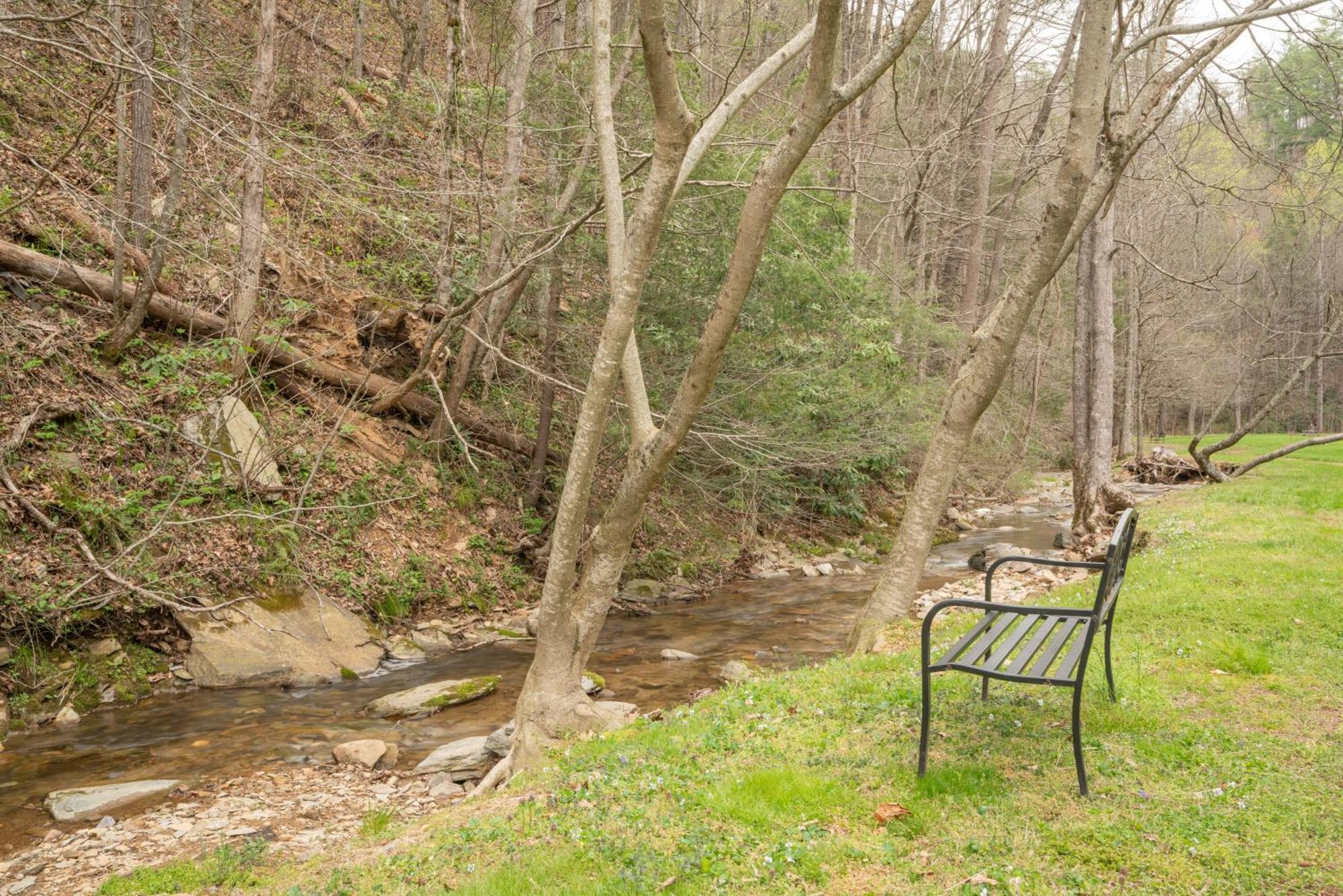 Hawks Nest Mountain Cabin 세비어빌 외부 사진